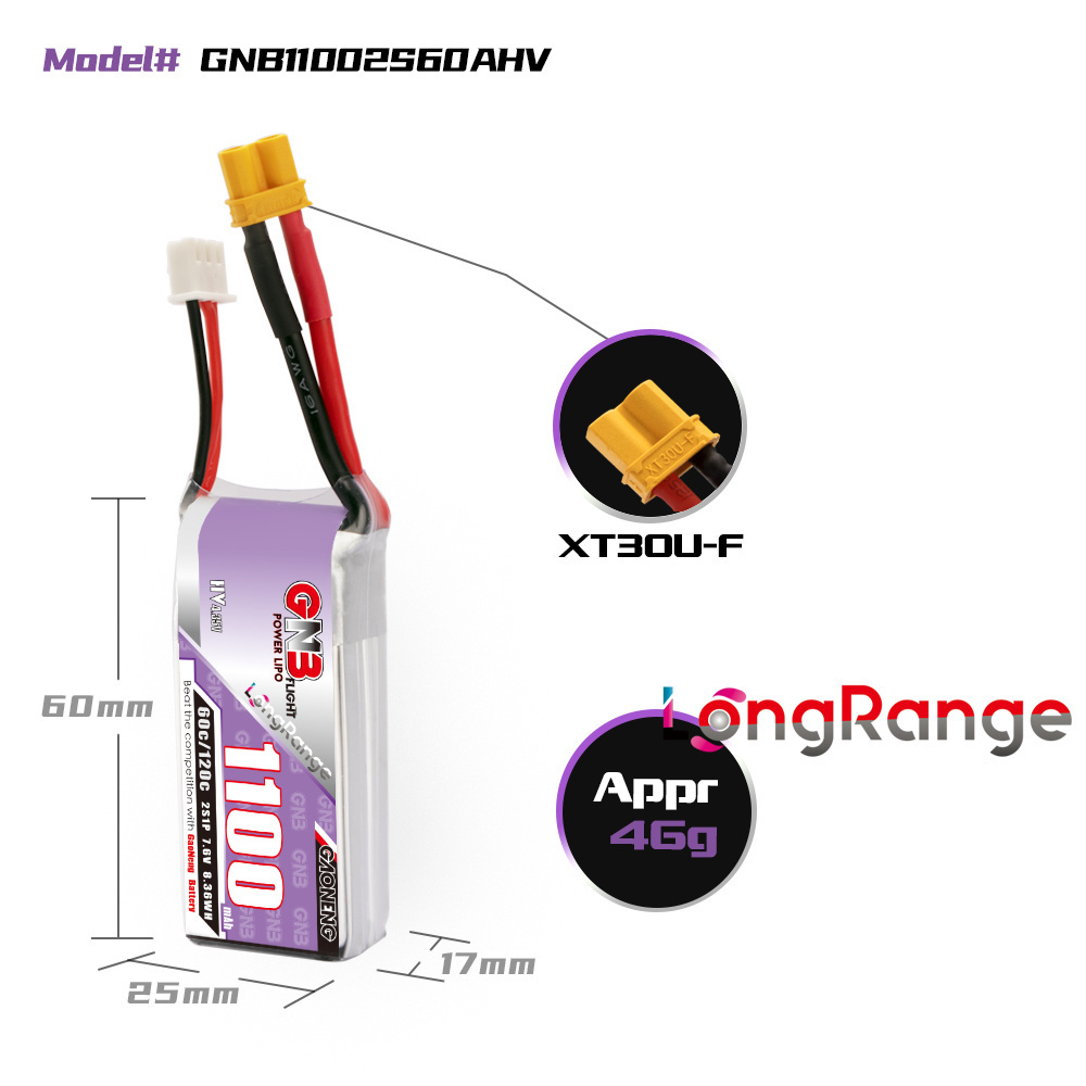 GNB 1100mAh 2S 3S 4S 6S 60C/12 - Rc Helicopter Battery recensione e prezzo