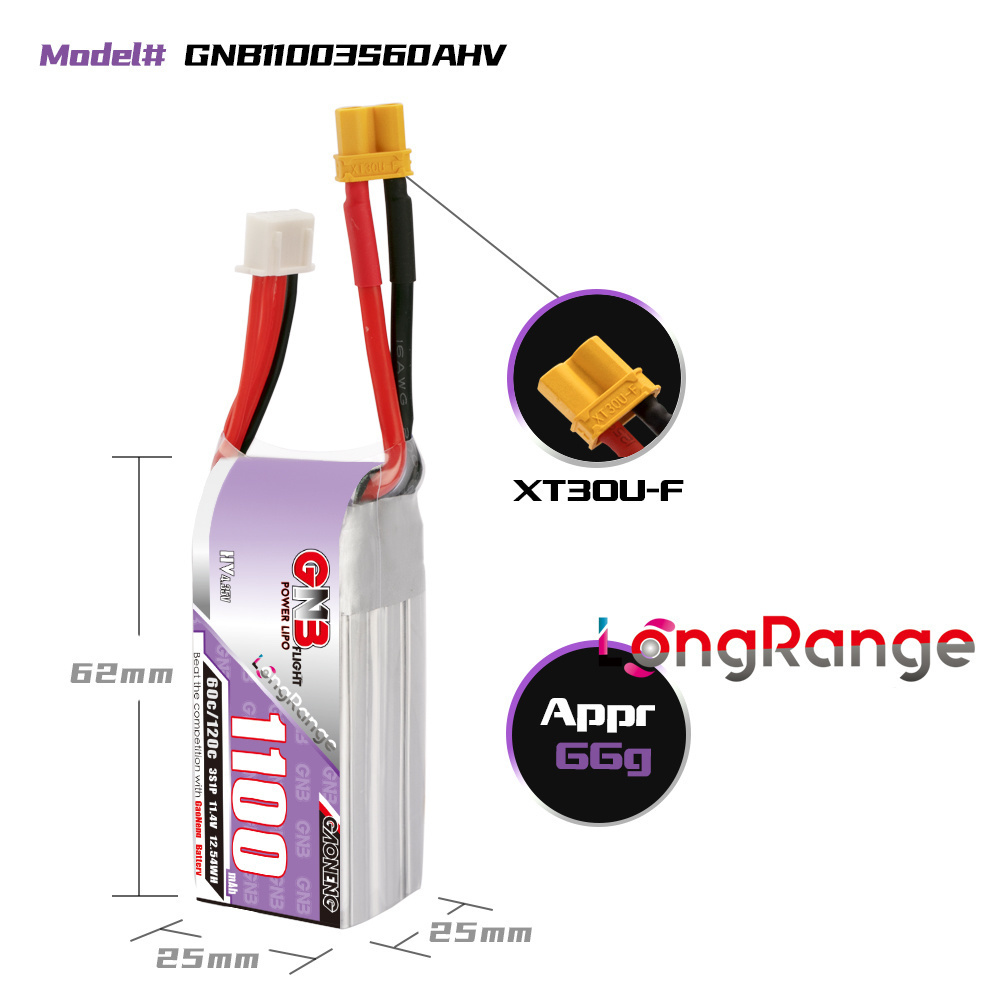 GNB 1100mAh 2S 3S 4S 6S 60C/12 - Rc Helicopter Battery recensione e prezzo